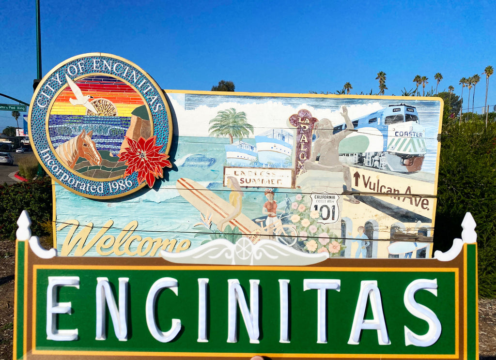 Encinitas, Ca. LED Light Sign | Category 6 LED | Category6LED