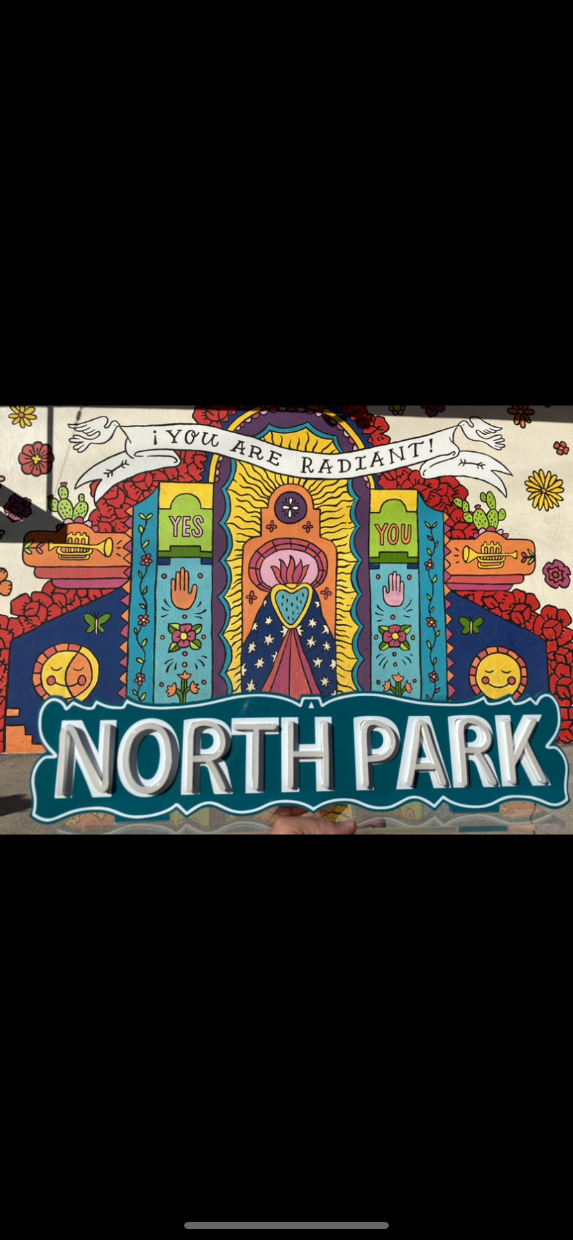 North Park, Ca. LED Light Sign | Category 6 LED | Category6LED